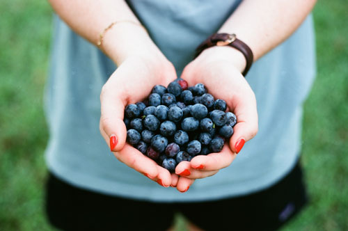 Heidelbeeren aus der Region Jennersdorf